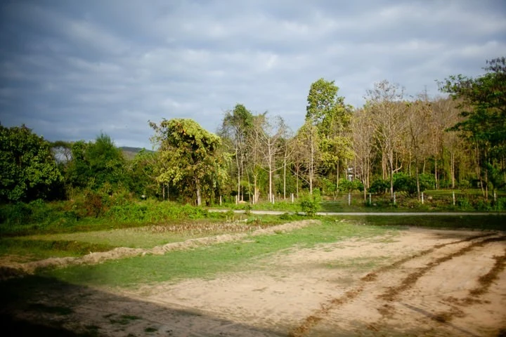 2013-25-01.jpg?resize=720%2C480