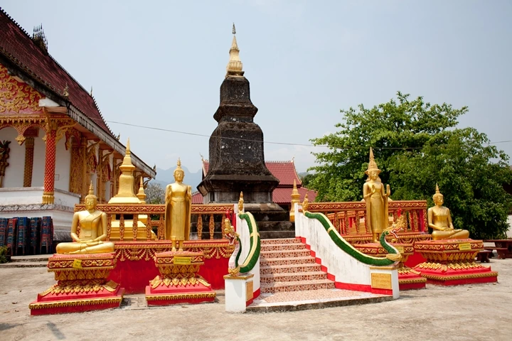 _MG_8073.JPG?type=w1