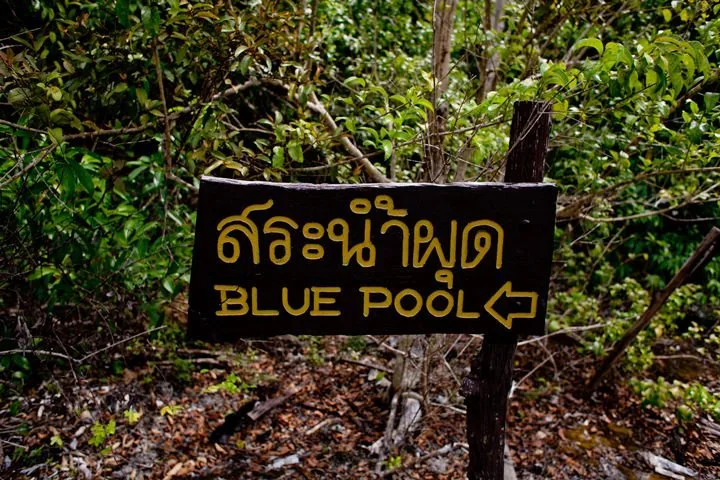 12-03.jpg?resize=720%2C480