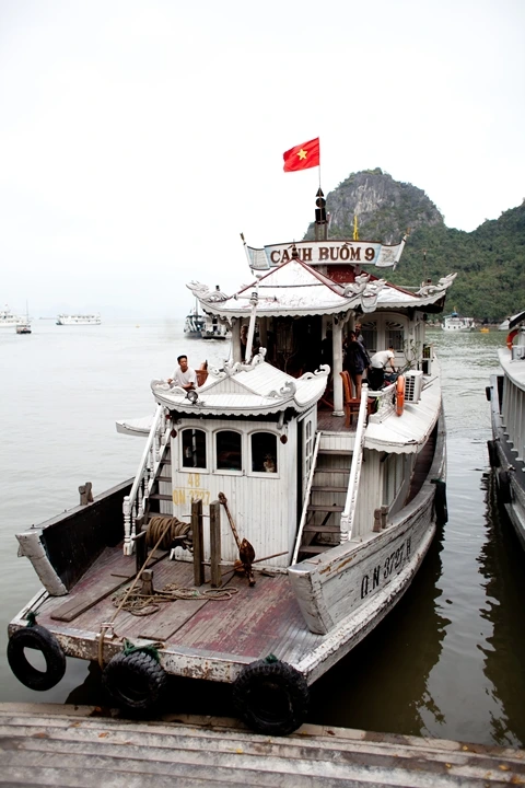 _MG_8584.JPG?type=w1