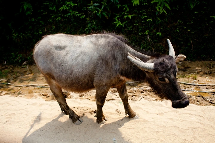 _MG_8912.JPG?type=w1