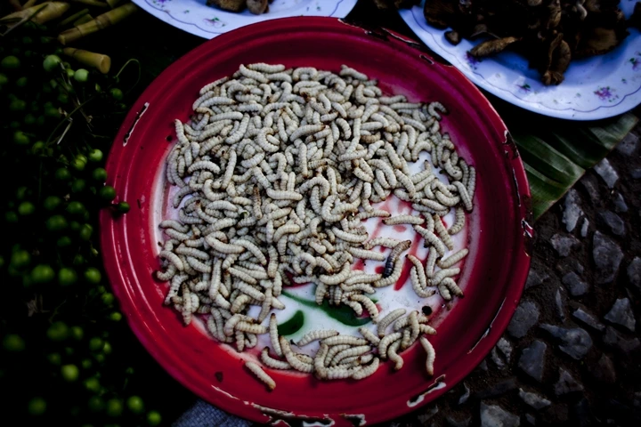 _MG_7479.jpg?type=w1