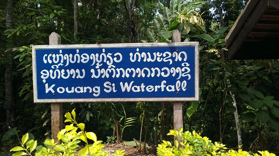 IMAG1430.jpg?type=w1