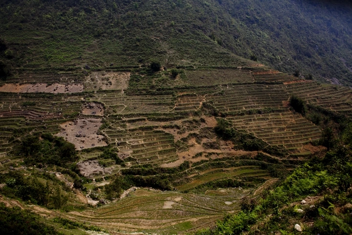 _MG_8875.jpg?type=w1