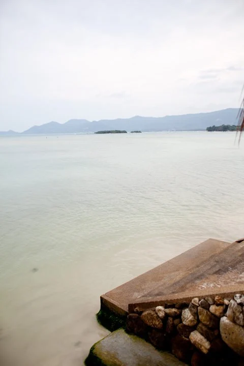 14-06.jpg?resize=480%2C720