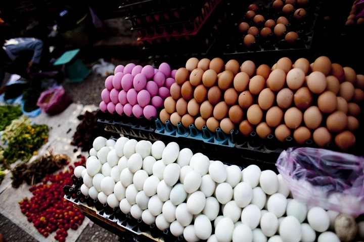 _MG_7491.jpg?type=w1