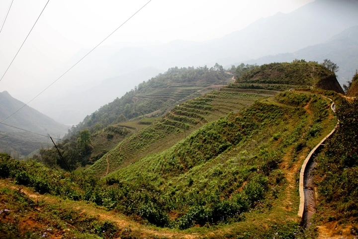 _MG_8849.JPG?type=w1