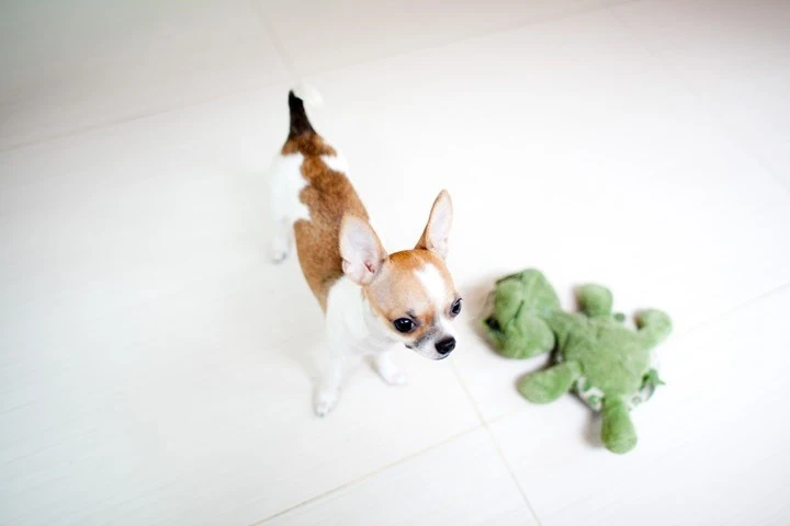 18-09.jpg?resize=720%2C480