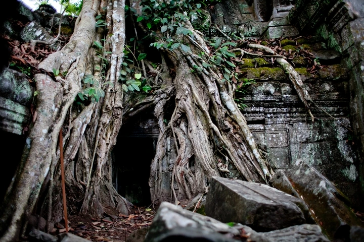 _MG_1207.JPG?type=w1