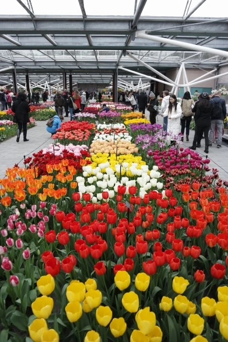 _SAM1218.JPG?type=w2