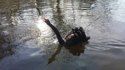 %BC%BC%C0%CE%C6%AE%C1%A6%C0%D3%BD%BA%C6%C4%C5%A93.jpg?type=w2