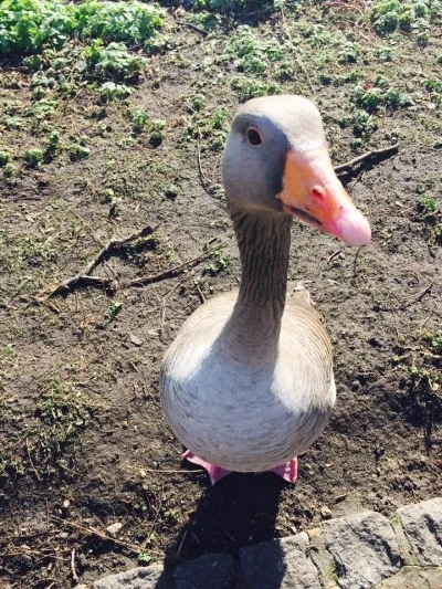 %BC%BC%C0%CE%C6%AE%C1%A6%C0%D3%BD%BA%C6%C4%C5%A91.jpg?type=w2