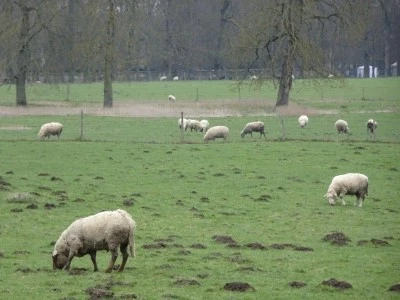 DSC01742.JPG?type=w2