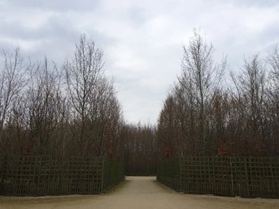 DSC01728.JPG?type=w2