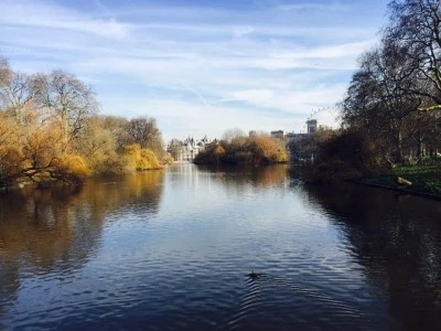 %BC%BC%C0%CE%C6%AE%C1%A6%C0%D3%BD%BA%C6%C4%C5%A9.jpg?type=w2