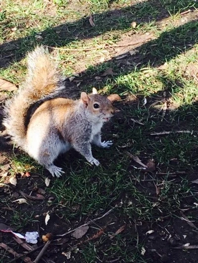 %BC%BC%C0%CE%C6%AE%C1%A6%C0%D3%BD%BA%C6%C4%C5%A92.jpg?type=w2