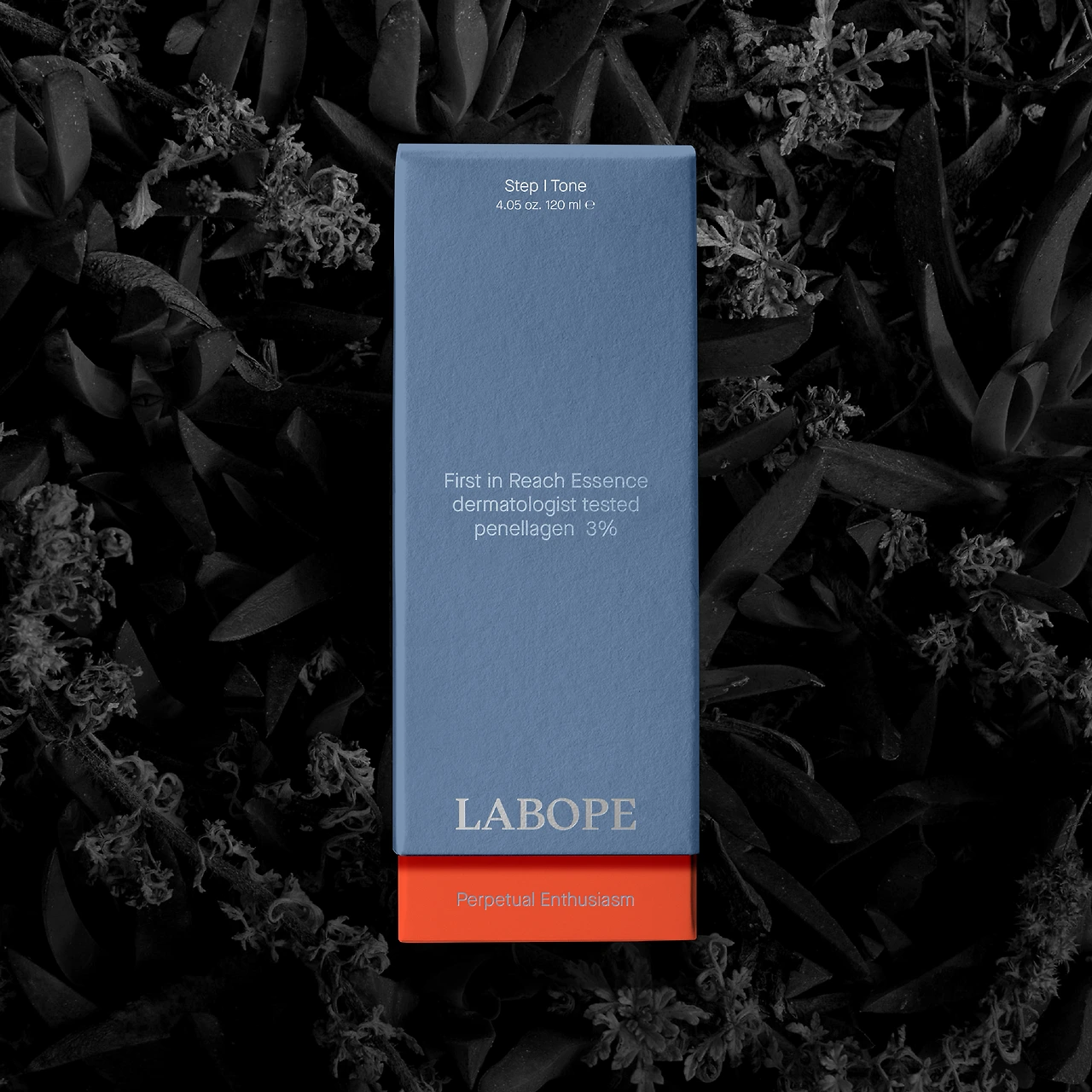 KakaoTalk_Photo_2023-10-24-11-42-12 015.jpeg