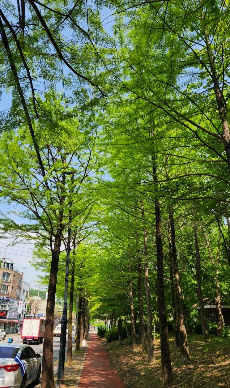 SE-bed6cc35-168b-4b77-b82c-6863d604b9a8.jpg?type=w773