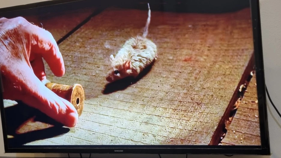 %EA%B7%B8%EB%A6%B0%EB%A7%88%EC%9D%BC6.jpg?type=w1