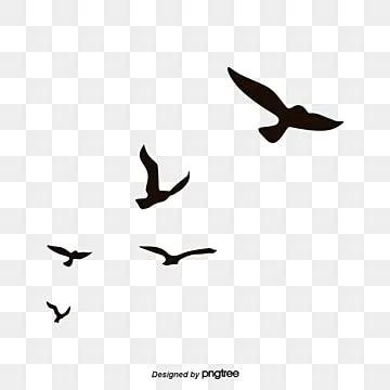 Black Birds Flying Silhouette PNG Transparent, Black Birds And Animals Flying, Element, Silhouette, Animal PNG Image For Free Download.jpeg