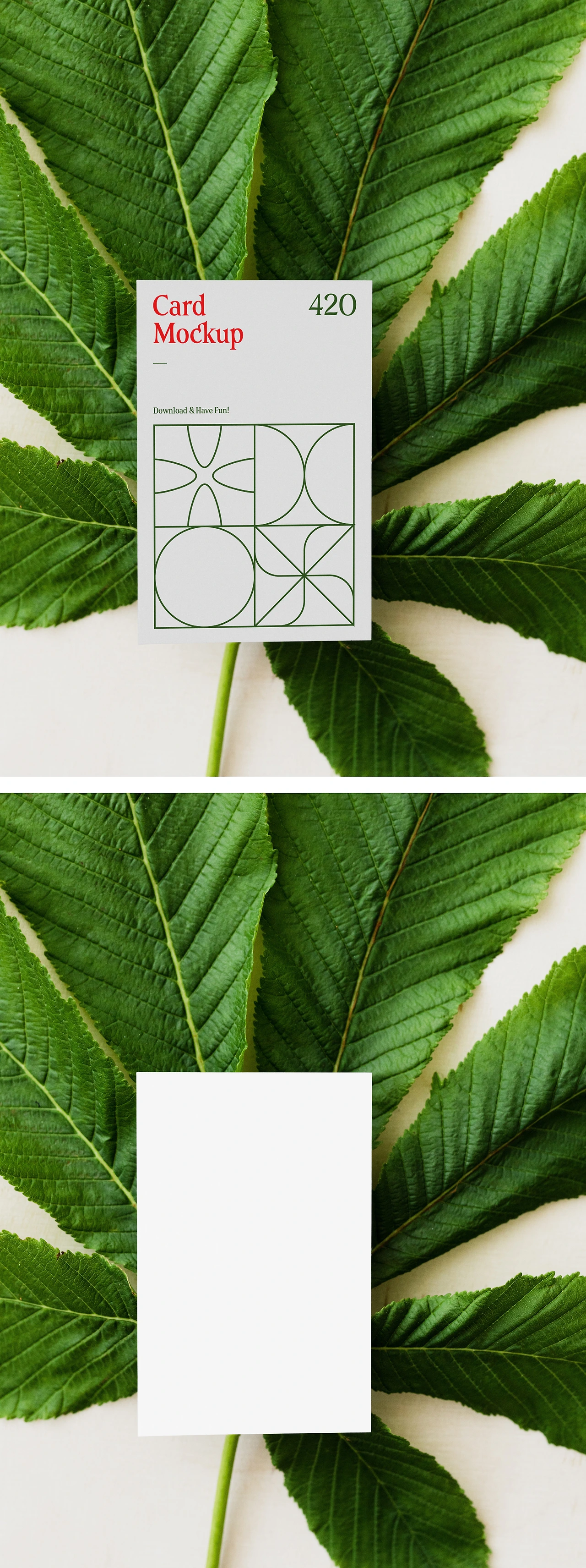 Mr.Mockup-02-Card-with-Leaf-Mockup.jpg?x96752