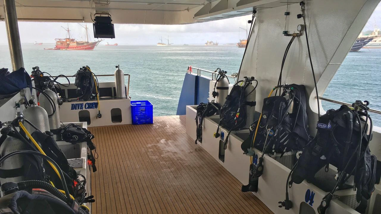 파일 2020. 10. 4. 오후 8 20 38.jpeg