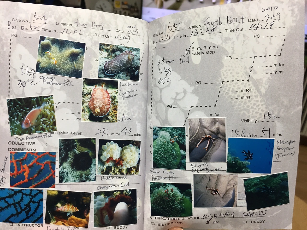 파일 2017. 6. 7. 오후 10 11 30.jpeg