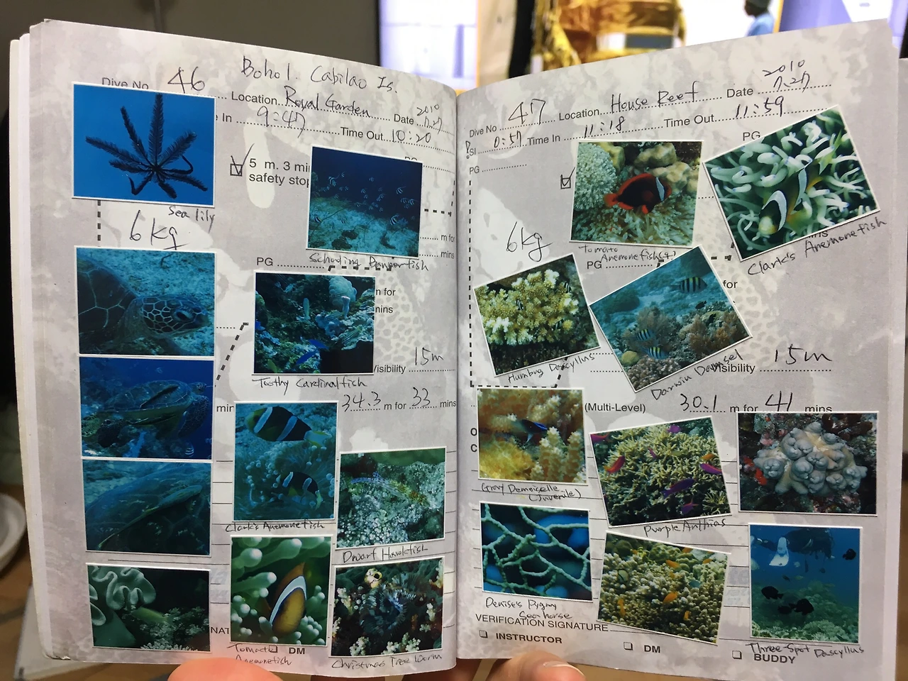 파일 2017. 6. 7. 오후 10 10 32.jpeg