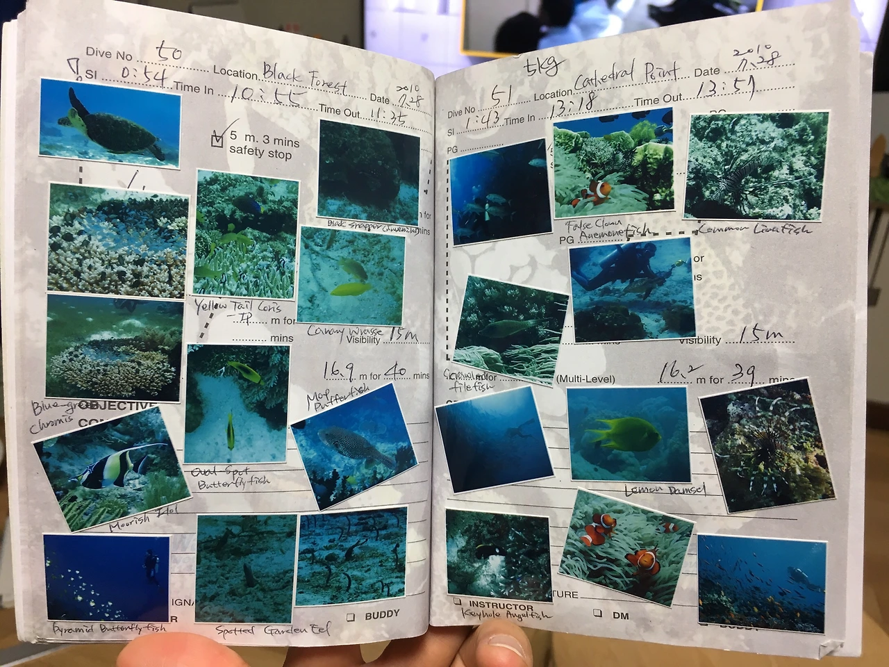 파일 2017. 6. 7. 오후 10 10 05.jpeg