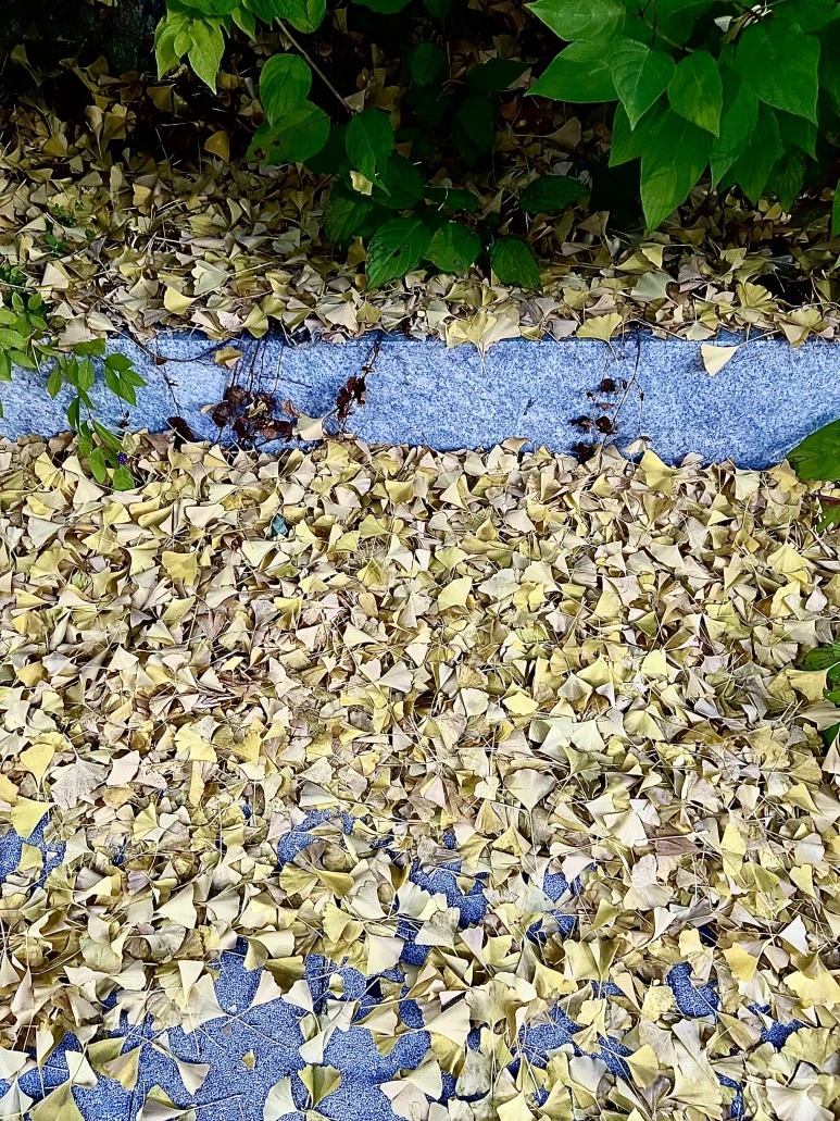 IMG_2482.jpg?type=w773