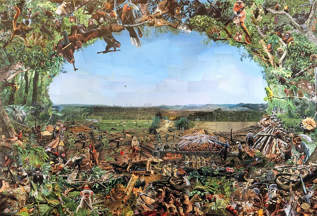 4397350757_e344ae5787_z.jpg?type=w2