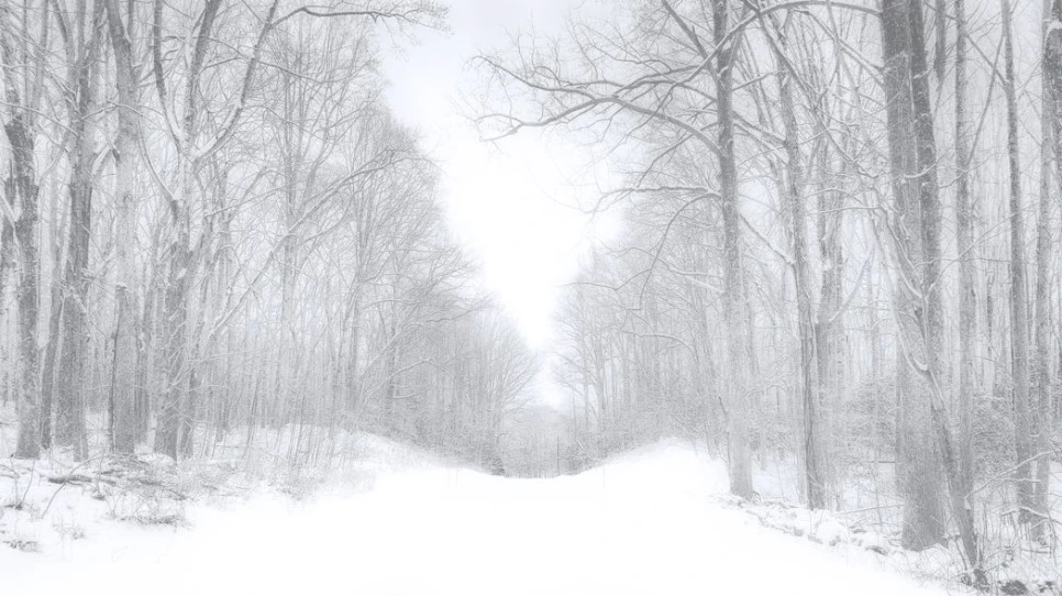 15627373754_21e5ac6804_o.jpg?type=w966