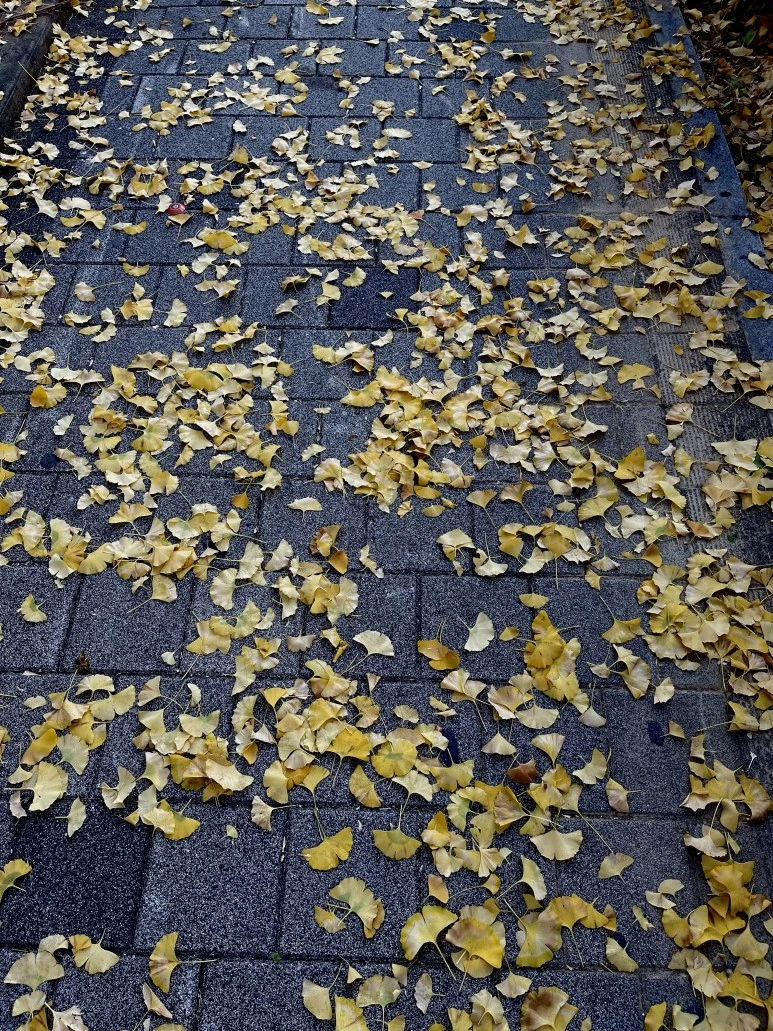 IMG_2472.jpg?type=w773