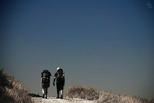 %B5%B5%BE%E0.png?type=w2