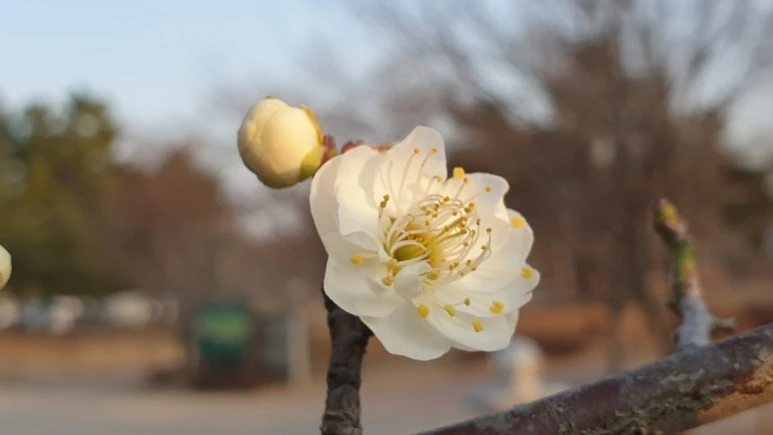 KakaoTalk_20210224_201048200_03.jpg?type=w773