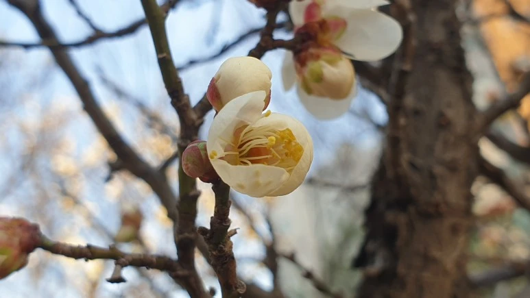 KakaoTalk_20210224_201048200.jpg?type=w773