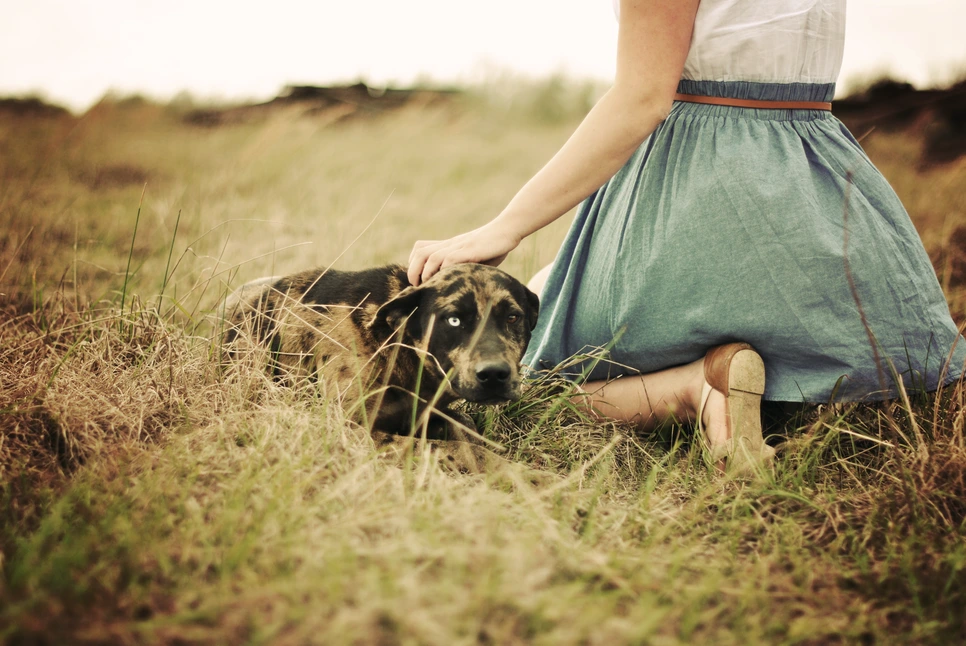 5558920945_74775c0542_o.png?type=w966