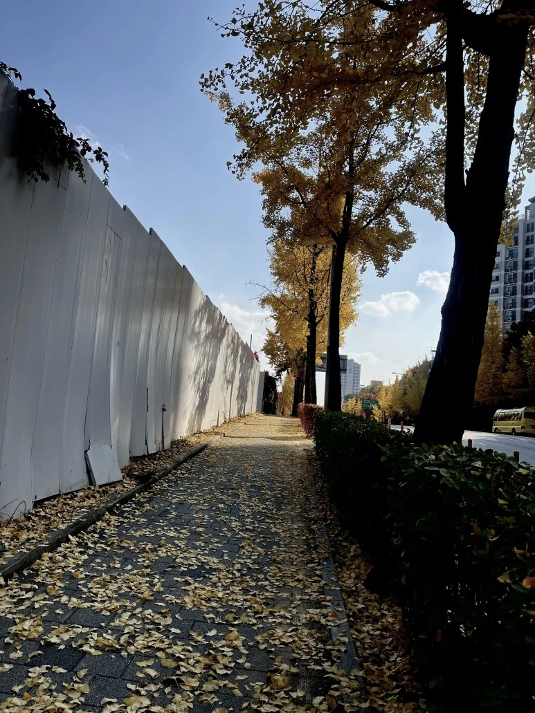 IMG_2471.jpg?type=w773