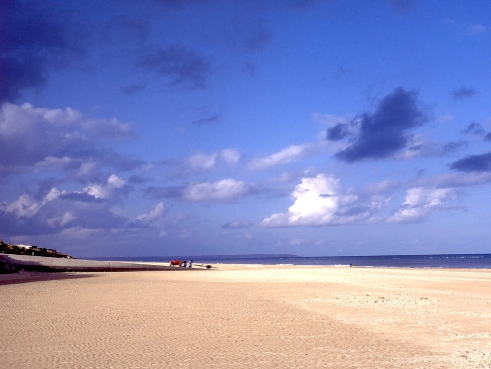 3022414417_463061e4a9_o.jpg?type=w966