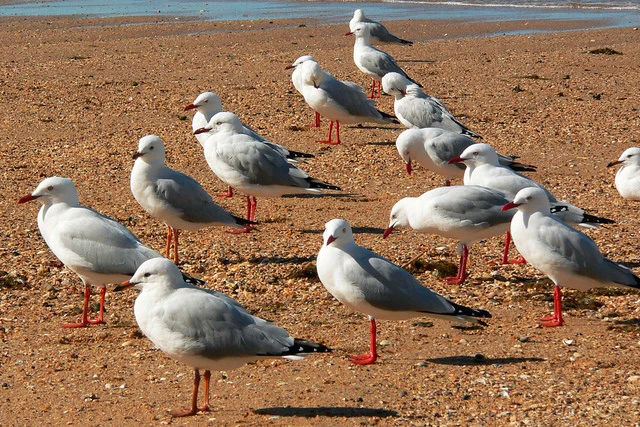 23372349665_d2bb7f8218_z.jpg?type=w2