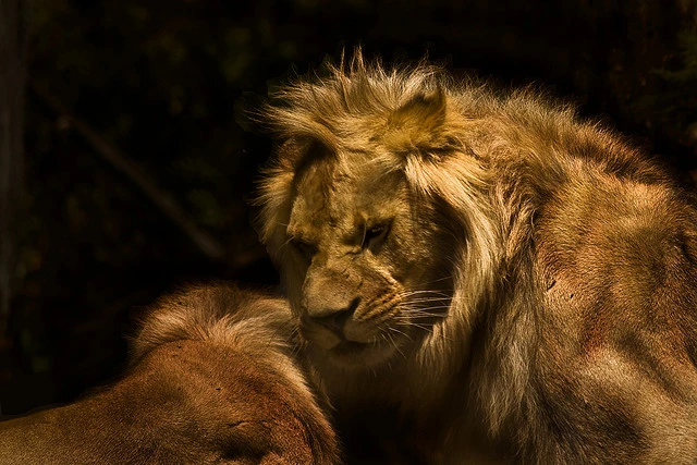 4279682807_731648042b_z.jpg?type=w2