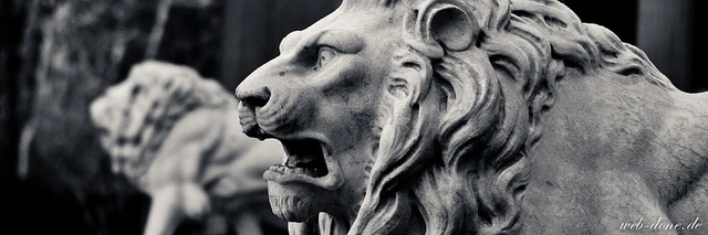 5834419606_b4e7ce1624_z.jpg?type=w2