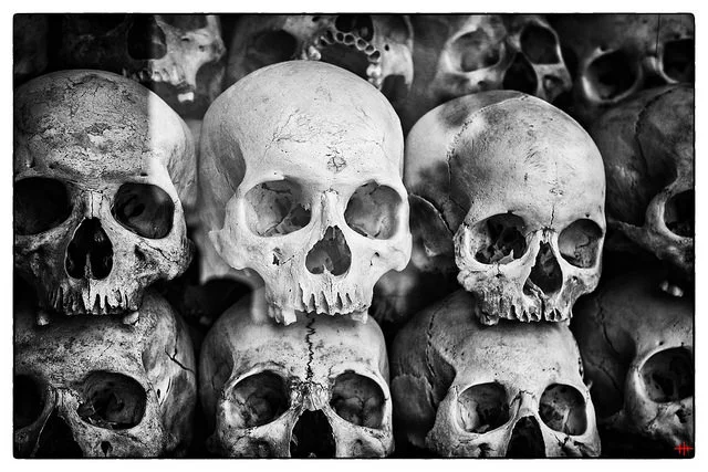 16775714603_dd695a5615_z.jpg?type=w2