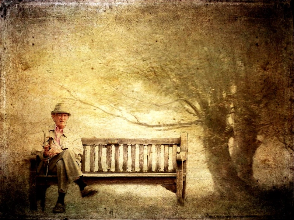 8133967795_e1295546a1_o.jpg?type=w966