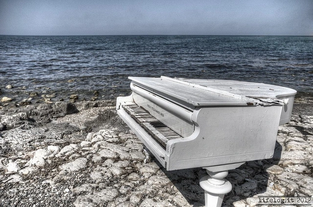 7873578406_1cd3eaf4bd_z.jpg?type=w2