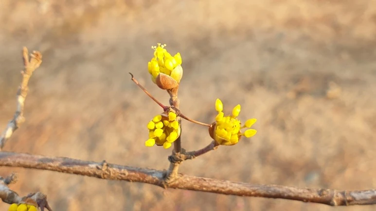 KakaoTalk_20210224_201048200_01.jpg?type=w773