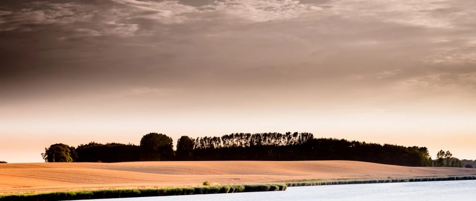 14668878757_d5324963df_k.jpg?type=w966