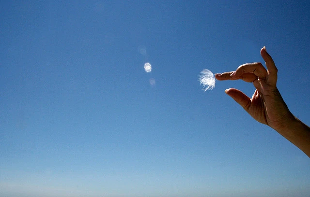 3027430438_02821f919d_z.jpg?type=w2