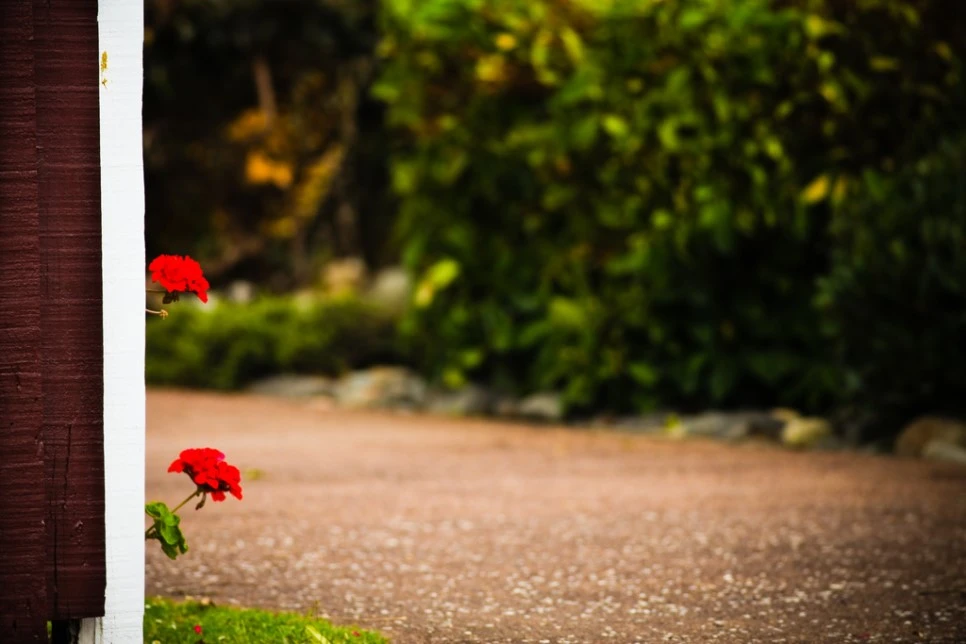 5332053499_e138d839b6_b.jpg?type=w966