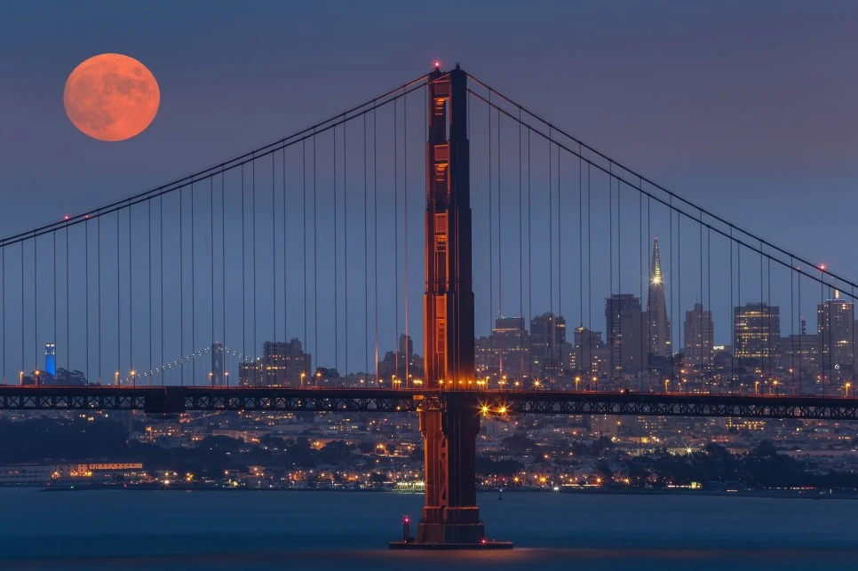 17492798902_5182c6230d_k.jpg?type=w966